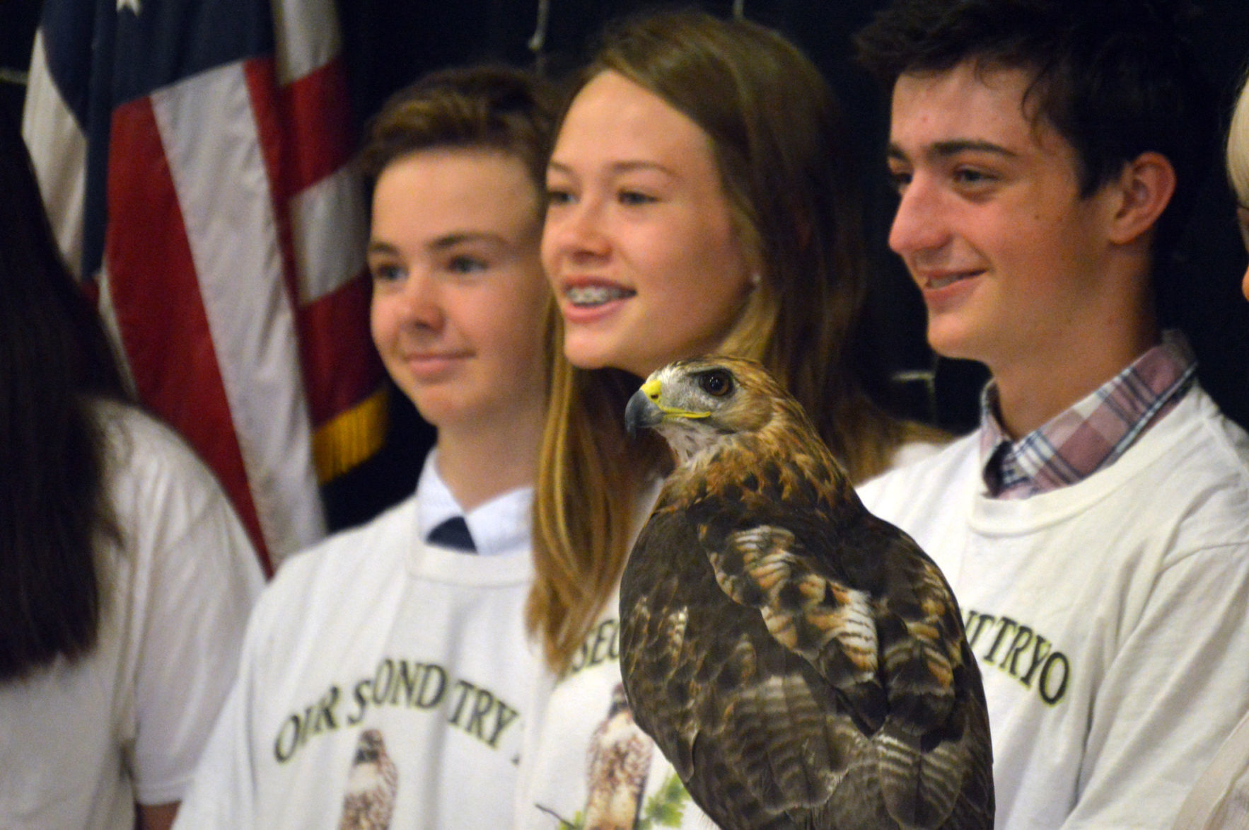 Governor signs bill making red-tailed hawk official state raptor